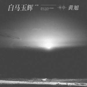 关之琳色情黄色
