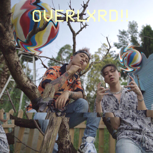 关之琳色情黄色
