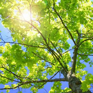 关之琳色情黄色
